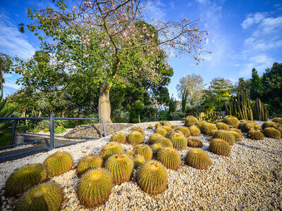 Geelong Botanic Gardens