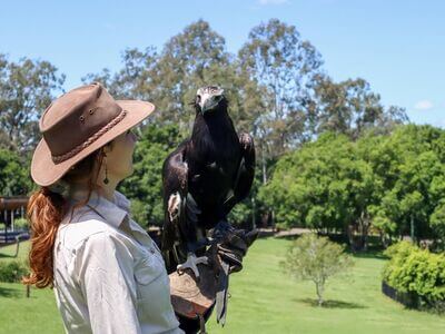 Lone Pine Koala Sanctuary